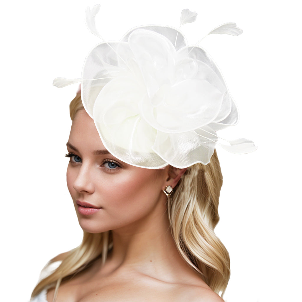 Dresyu Fascinators Feathers Tea Party Race Day Hat Vintage Hair Accessories for Women and Girls