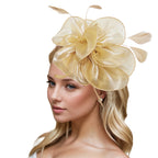 Dresyu Fascinators Feathers Tea Party Race Day Hat Vintage Hair Accessories for Women and Girls