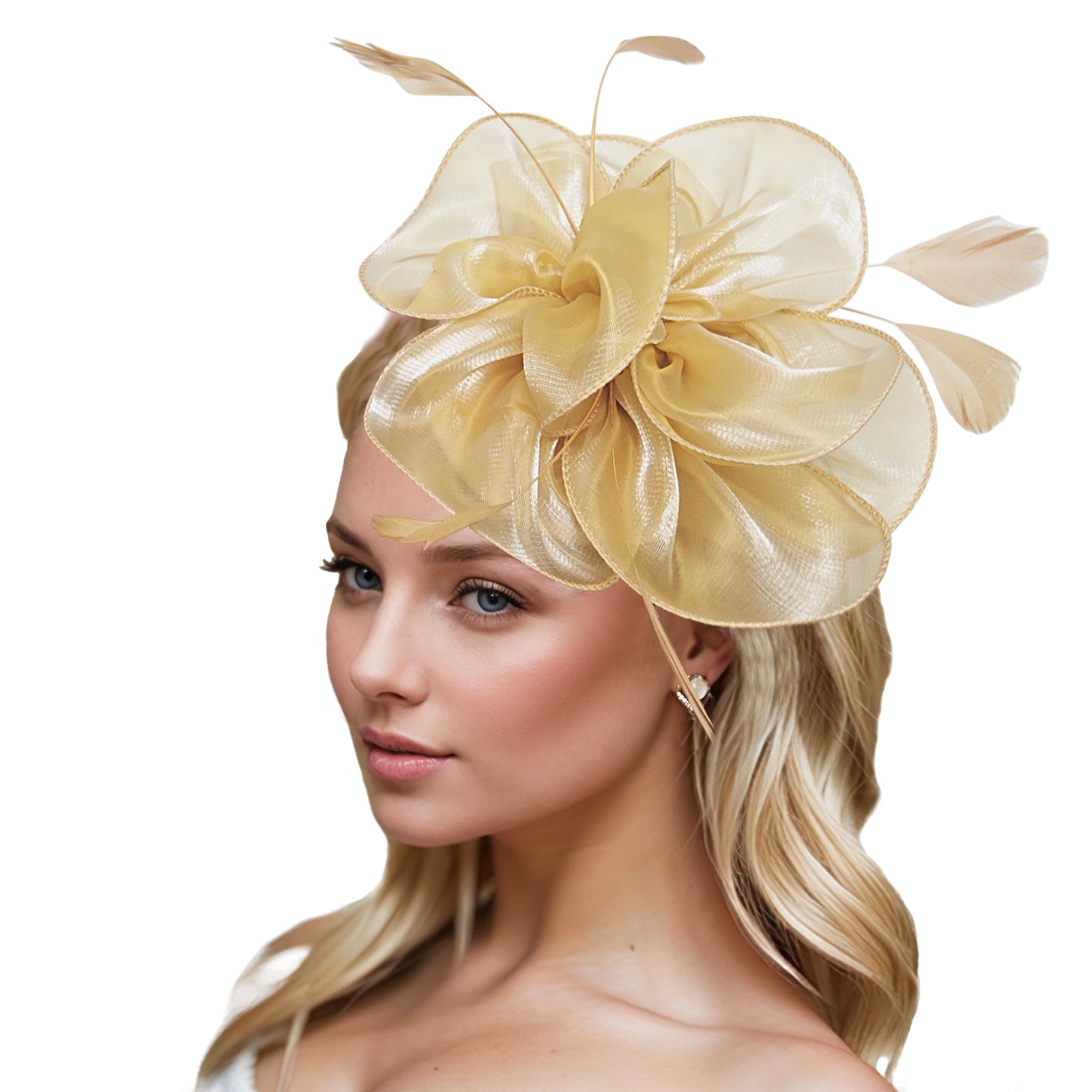 Dresyu Fascinators Feathers Tea Party Race Day Hat Vintage Hair Accessories for Women and Girls