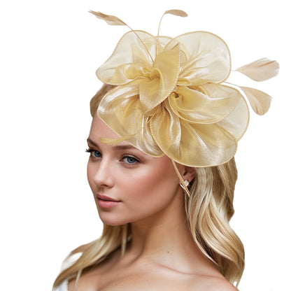 Dresyu Fascinators Feathers Tea Party Derby Hat Kentucky Hair Accessories for Women and Girls
