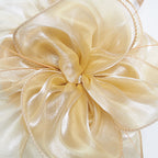 Dresyu Fascinators Feathers Tea Party Race Day Hat Vintage Hair Accessories for Women and Girls